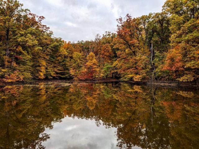 A serene lake reflects vibrant autumn trees with colorful foliage under a cloudy sky.