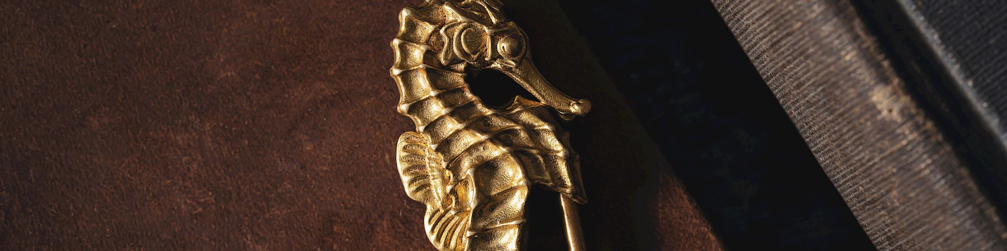 Amaya
